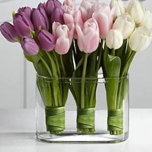 Meet your Posher, Annie